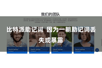 比特派助记词 因为一朝助记词丢失或暴露
