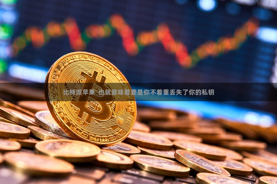 比特派苹果  也就意味着要是你不着重丢失了你的私钥